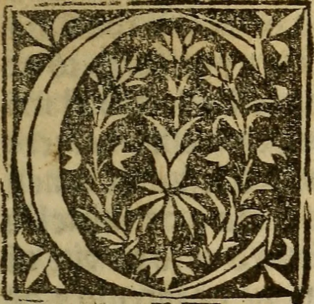 An illustration from Tractato utilissimo circa lo regimento e conseruatione dela sanitade, 1508, leaf 14