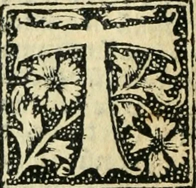 An illustration from Tractatus de gabellis. Solenis et bodierne practice q; comodissimus tractatus vectigalium gabellaruve casus etiam quotidianos decidens, per egregium juris vtriusq;, 1533, leaf 19
