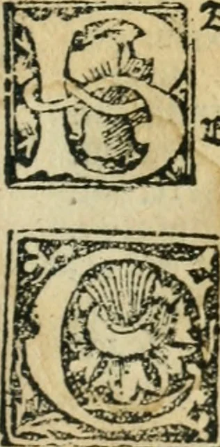 An illustration from Tractatus de gabellis. Solenis et bodierne practice q; comodissimus tractatus vectigalium gabellaruve casus etiam quotidianos decidens, per egregium juris vtriusq;, 1533, leaf 4