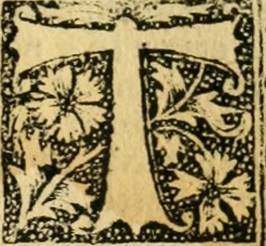 An illustration from Tractatus de gabellis. Solenis et bodierne practice q; comodissimus tractatus vectigalium gabellaruve casus etiam quotidianos decidens, per egregium juris vtriusq;, 1533, leaf 52