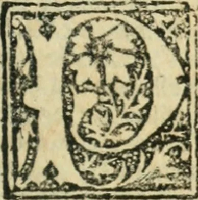 An illustration from Tractatus de gabellis. Solenis et bodierne practice q; comodissimus tractatus vectigalium gabellaruve casus etiam quotidianos decidens, per egregium juris vtriusq;, 1533, leaf 88