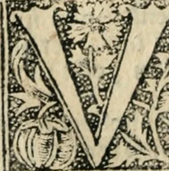 An illustration from Tractatus de gabellis. Solenis et bodierne practice q; comodissimus tractatus vectigalium gabellaruve casus etiam quotidianos decidens, per egregium juris vtriusq;, 1533, leaf 97