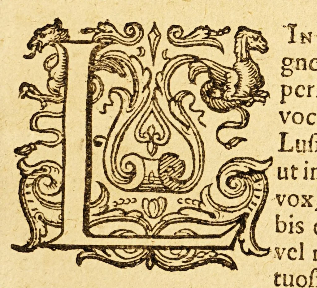An illustration from Tractatus de globis, coelesti et terrestri eorumque usu., 1617, leaf 145