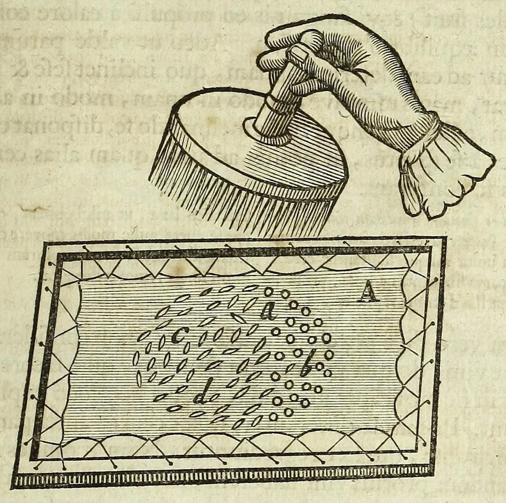 An illustration from Tractatus de homine et de formatione foetus /, 1677, leaf 217