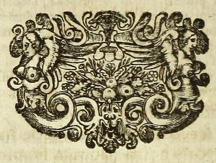 An illustration from Tractatus de homine et de formatione foetus /, 1677, leaf 272