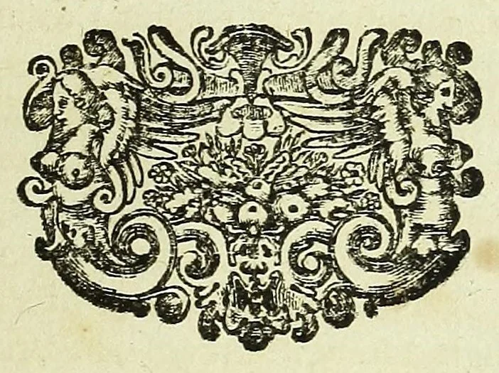 An illustration from Tractatus de homine et de formatione foetus /, 1677, leaf 321
