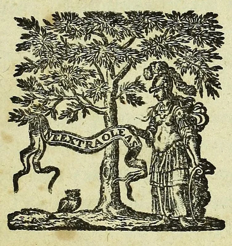 An illustration from Tractatus de homine et de formatione foetus /, 1677, leaf 7