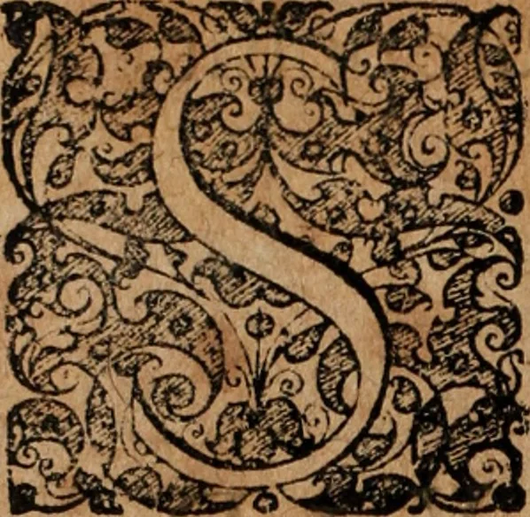 An illustration from Tractatus de regalibus, sive explicatio brevis et methodica ... quae sint regalia in usibus feudorum ... In praesentia verò, de regalibus in genere, quid juris sit, cum venationum tantùm materia, in lucem feliciter prodit autore Friderico Pruckmanno, 1672, leaf 229