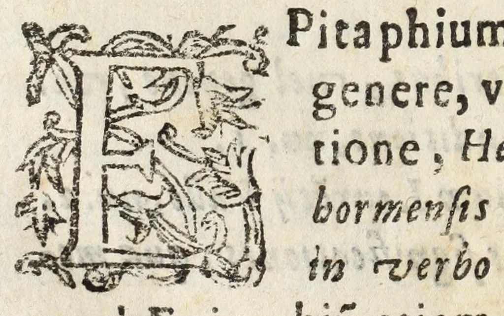 An illustration from Tractatus de sepulturis, capellis, statuis, epitaphijs, & defunctorum munimentis, 1641, leaf 132