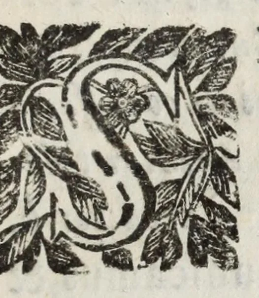 An illustration from Tractatus de sepulturis, capellis, statuis, epitaphijs, & defunctorum munimentis, 1641, leaf 75
