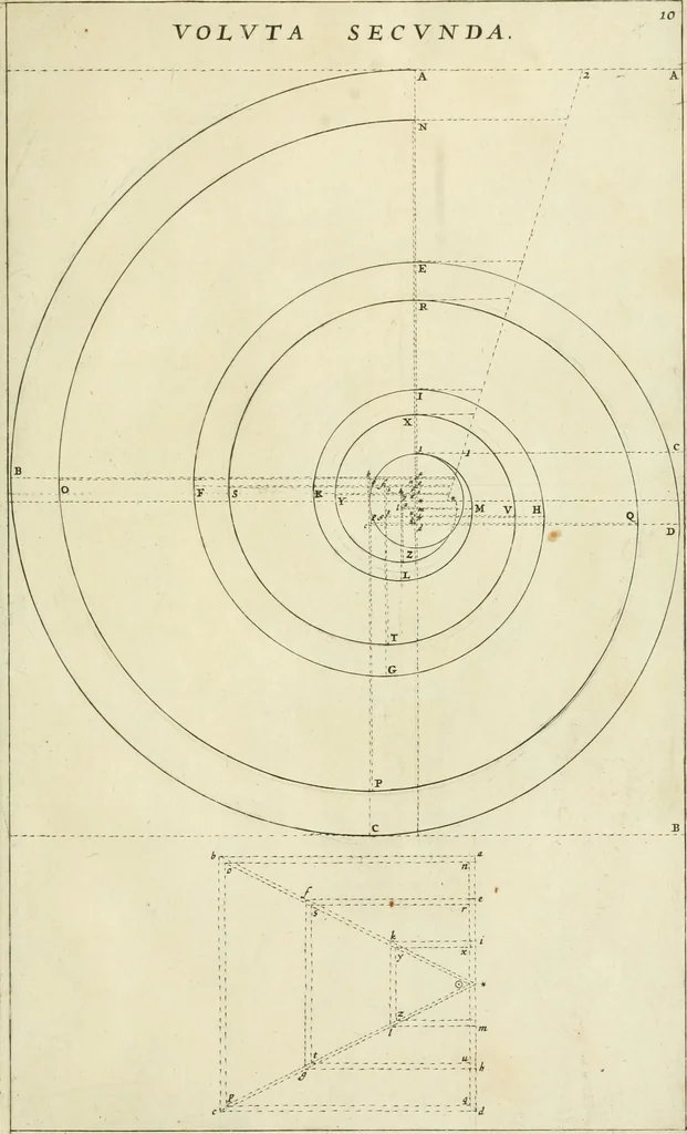 An illustration from Tractatus de stylometris, sive, Instrumentis quibus quinque ordines architecturae methodo quâ facilior inveniri nequit ..., 1662, leaf 60