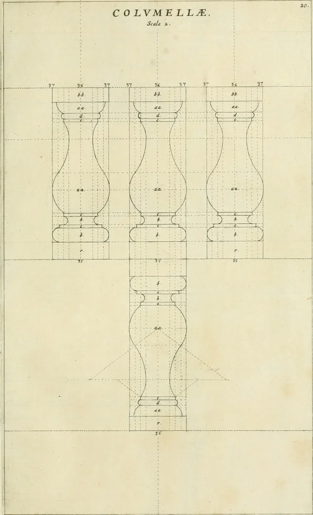 An illustration from Tractatus de stylometris, sive, Instrumentis quibus quinque ordines architecturae methodo quâ facilior inveniri nequit ..., 1662, leaf 80