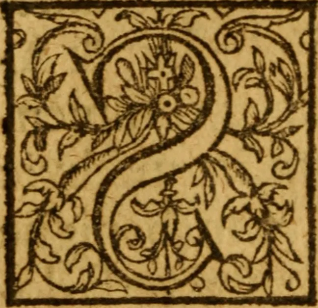 An illustration from Tractatus de vocatione efficaci, quae inter locos theologiae communissimos recensetur, deq[ue] locis specialioribus, qui sub vocatione comprehenduntur. Vt doctrina de vocatione illustrior evaderet, adjectae sunt qu[a]estiones aliquot de modis illis, quibus Deo visum est jam inde à principio, homini verbum vtriusq[ue] foederis sui, revelare, 1597, leaf 11
