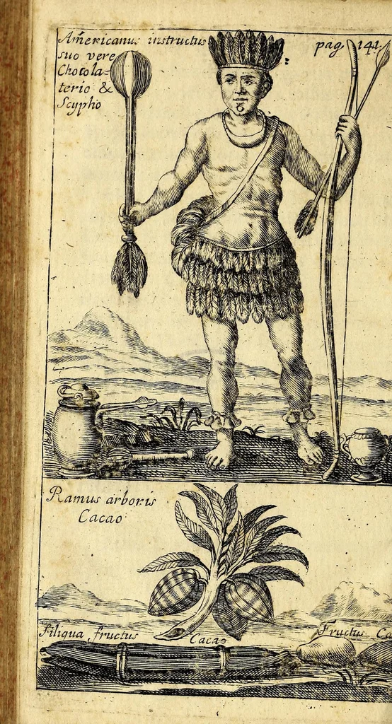 An illustration from Tractatus novi de potu caphé; de chinensium thé; et de chocolata, 1685, leaf 158