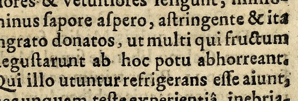 An illustration from Tractatus novi de potu caphé; de chinensium thé; et de chocolata, 1685, leaf 211
