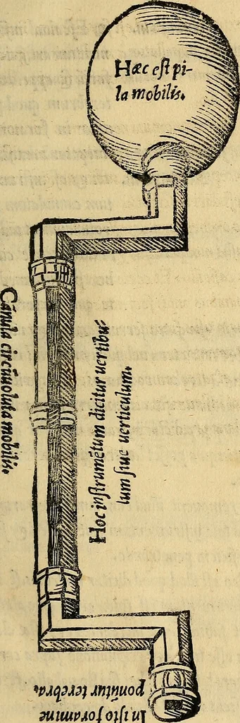 An illustration from Tractatus perutilis et completus de fractura cranei, 1535, leaf 194