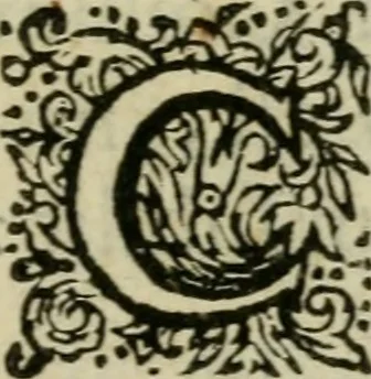 An illustration from Tractatus physiologicus de pulchritudine : juxta ea quae de sponsa in canticis canticorum mysticè pronunciantur, 1662, leaf 14