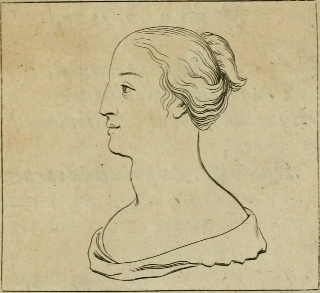 An illustration from Tractatus physiologicus de pulchritudine : juxta ea quae de sponsa in canticis canticorum mysticè pronunciantur, 1662, leaf 30