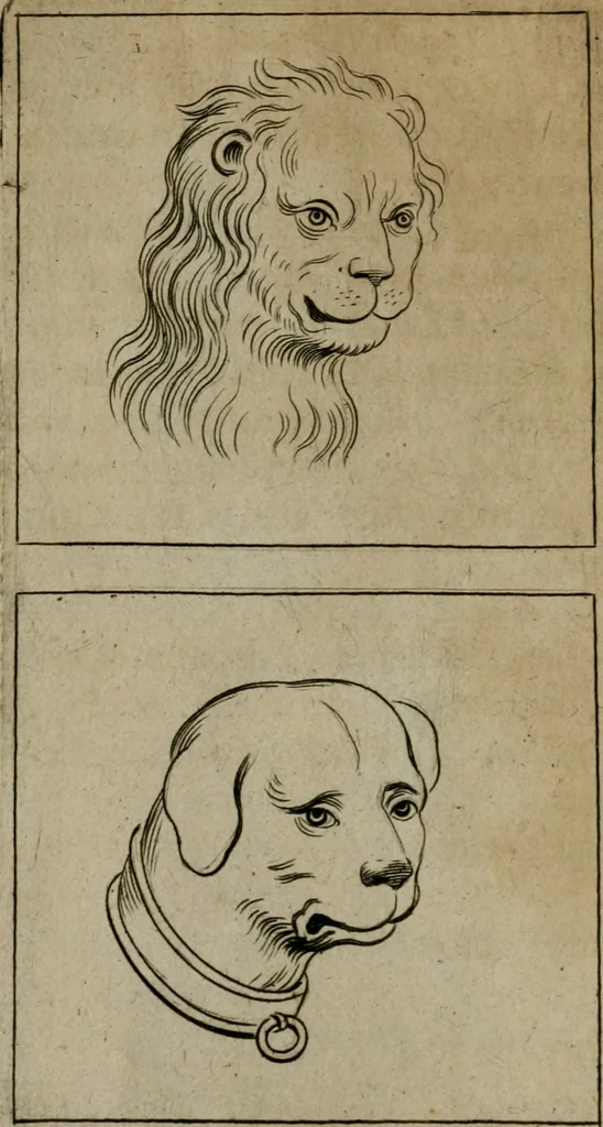 An illustration from Tractatus physiologicus de pulchritudine : juxta ea quae de sponsa in canticis canticorum mysticè pronunciantur, 1662, leaf 43