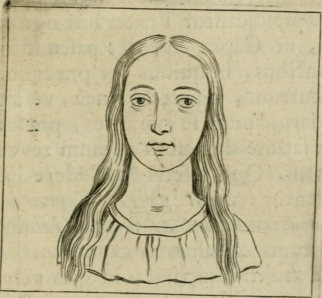 An illustration from Tractatus physiologicus de pulchritudine : juxta ea quae de sponsa in canticis canticorum mysticè pronunciantur, 1662, leaf 50