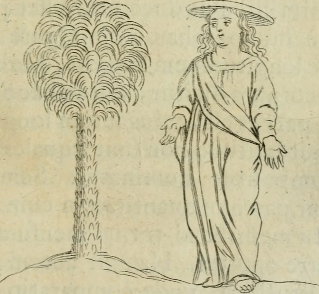 An illustration from Tractatus physiologicus de pulchritudine : juxta ea quae de sponsa in canticis canticorum mysticè pronunciantur, 1662, leaf 66