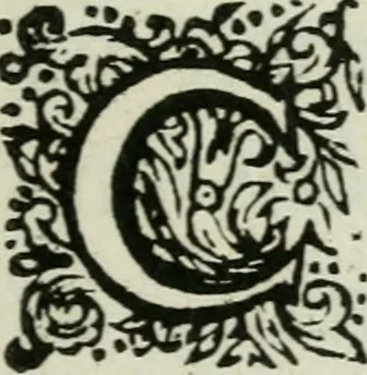 An illustration from Tractatus physiologicus de pulchritudine : juxta ea quae de sponsa in canticis canticorum mysticè pronunciantur, 1662, leaf 8