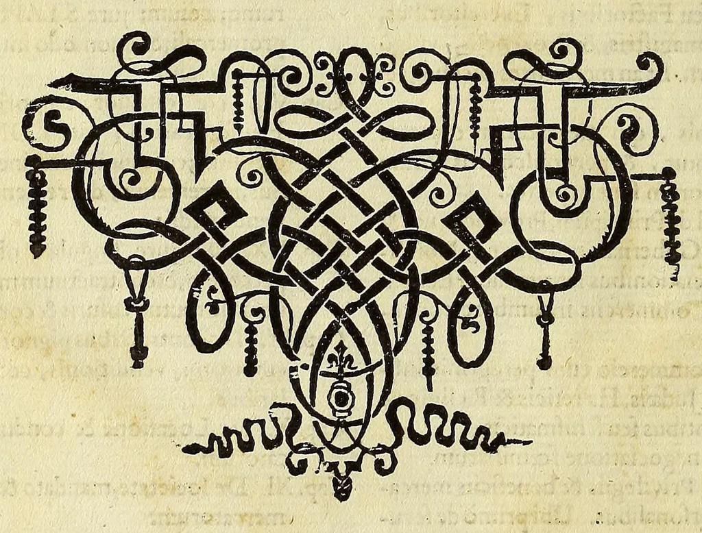 An illustration from Tractatus politico-juridicus de iure mercatorum et commerciorum singulari ... : Accesserunt in fine tractatus ipsa privilegiorum, constitutionum, statutorum, pactorum, &c. exemplaria, peculiari designatione, juxta seriem alphabeti, summis vigiliis atq[ue] impensis, in gratiam lectoris, passim conquisita, partim verò nunquam publicè visa., 1662, leaf 18