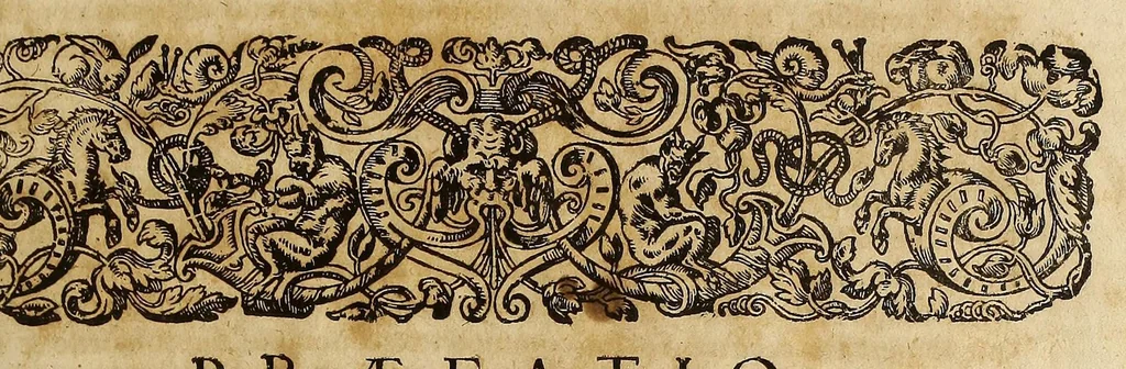 An illustration from Tractatus politico-juridicus de iure mercatorum et commerciorum singulari ... : Accesserunt in fine tractatus ipsa privilegiorum, constitutionum, statutorum, pactorum, &c. exemplaria, peculiari designatione, juxta seriem alphabeti, summis vigiliis atq[ue] impensis, in gratiam lectoris, passim conquisita, partim verò nunquam publicè visa., 1662, leaf 9