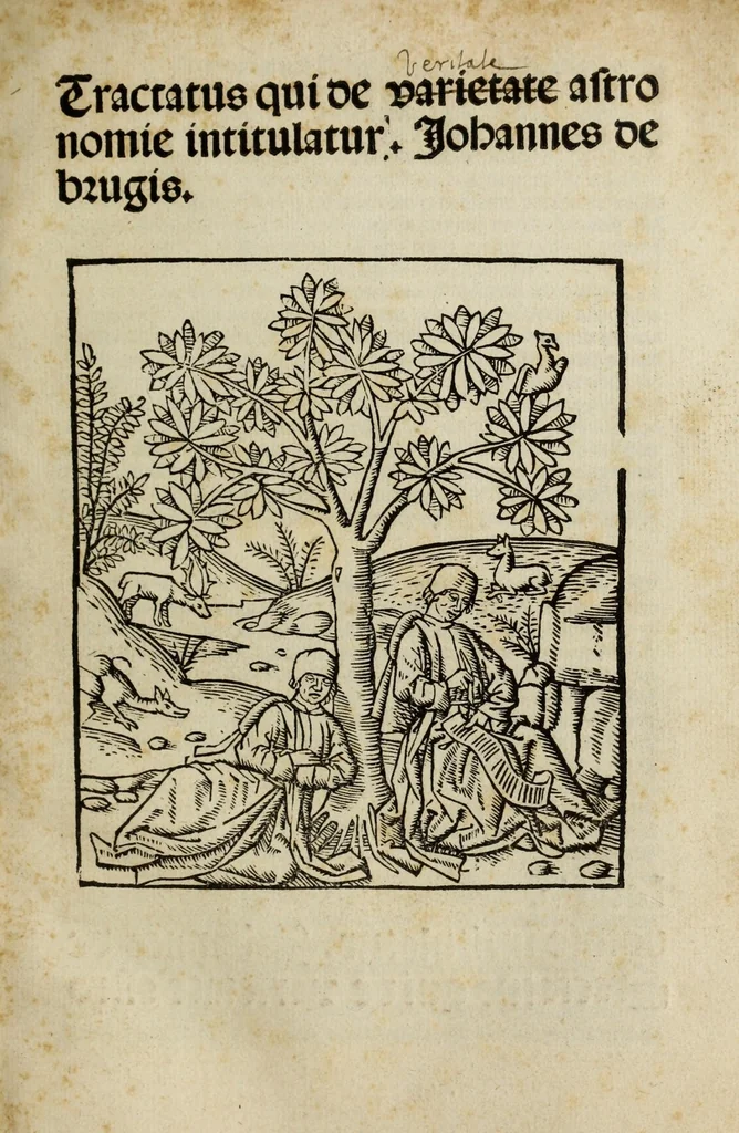 An illustration from Tractatus qui de varietate astronomie intitulatur, 1503, leaf 5