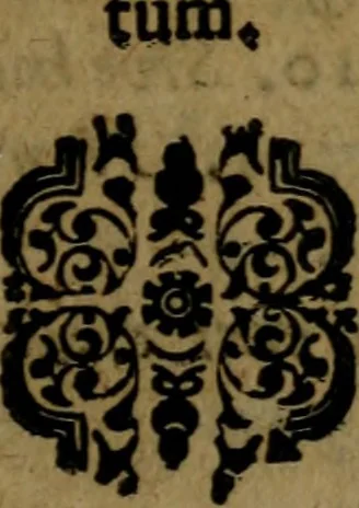 An illustration from Tractatus rationalis de fidejussoribus antehac in Catholica Electorali Vniversitate Ingolstadiana ad disputandum propositus, 1666, leaf 142