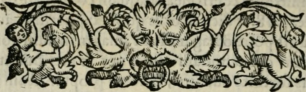 An illustration from Tractatus solemnis et aureus de agnosendis assertionibus Catholicis, et haereticis, 1571, leaf 167