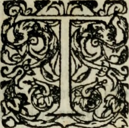 An illustration from Tractatus solemnis et aureus de agnosendis assertionibus Catholicis, et haereticis, 1571, leaf 60