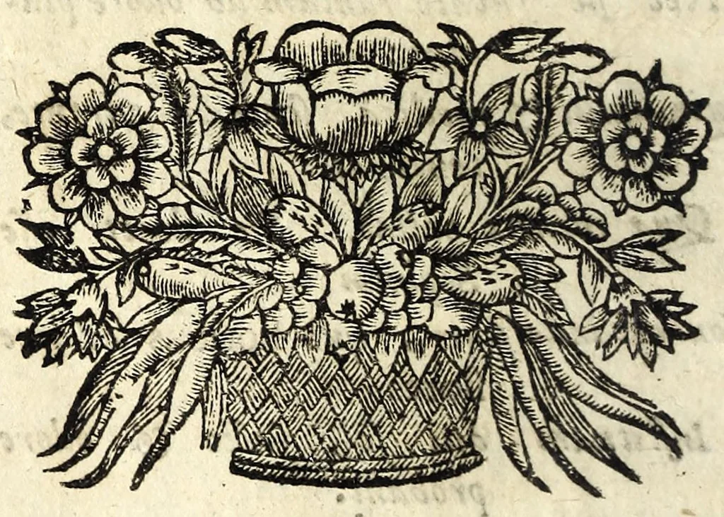 An illustration from Tractatvs de phyllobolia, seu, Florum et ramorum sparsione in sacris & civilibus rebus usitatissima : ubi varii ritus adducuntur, multa Scripturae loca illustrantur, & caeremoniarum in ingressu solenni principum origo fusè exhibetur : in fine denique dn. Dieterici Dissertatio de sparsione florum adjicitur, 1698, leaf 22
