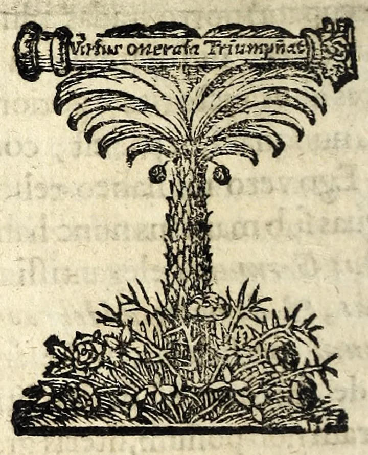 An illustration from Tractatvs de phyllobolia, seu, Florum et ramorum sparsione in sacris & civilibus rebus usitatissima : ubi varii ritus adducuntur, multa Scripturae loca illustrantur, & caeremoniarum in ingressu solenni principum origo fusè exhibetur : in fine denique dn. Dieterici Dissertatio de sparsione florum adjicitur, 1698, leaf 28