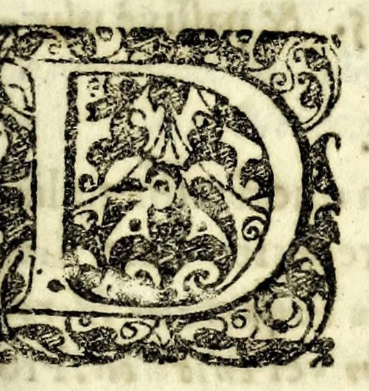 An illustration from Tractatvs de phyllobolia, seu, Florum et ramorum sparsione in sacris & civilibus rebus usitatissima : ubi varii ritus adducuntur, multa Scripturae loca illustrantur, & caeremoniarum in ingressu solenni principum origo fusè exhibetur : in fine denique dn. Dieterici Dissertatio de sparsione florum adjicitur, 1698, leaf 31