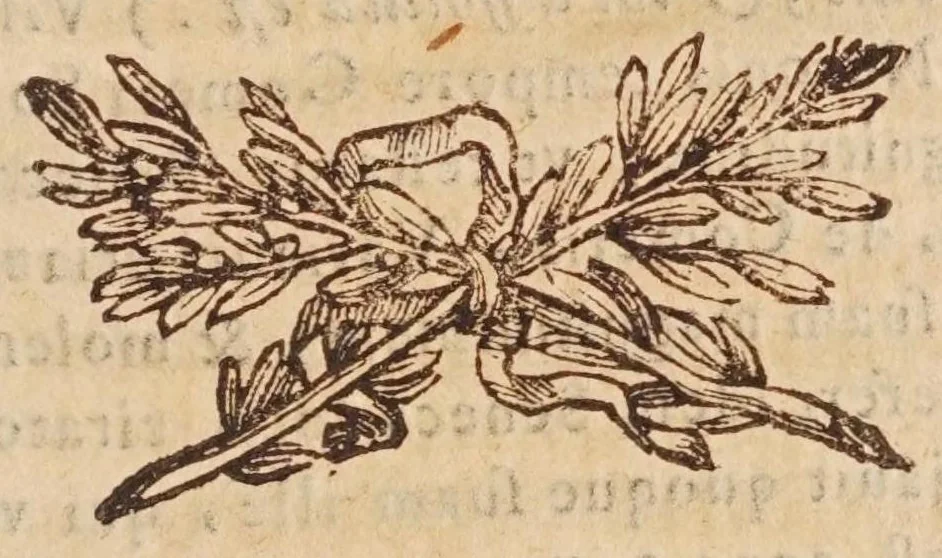 An illustration from Tractatvs, in quo examinantur, & soluuntur iuxta varietatem sententiarum probabilium omnia, quae spectant ad cometas : in quo agitur praesertim de eo, qui caepit obseruari hìc circa medium mensis decembris anni 1664, 1670, leaf 107