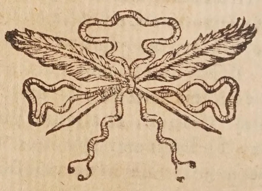 An illustration from Tractatvs, in quo examinantur, & soluuntur iuxta varietatem sententiarum probabilium omnia, quae spectant ad cometas : in quo agitur praesertim de eo, qui caepit obseruari hìc circa medium mensis decembris anni 1664, 1670, leaf 122