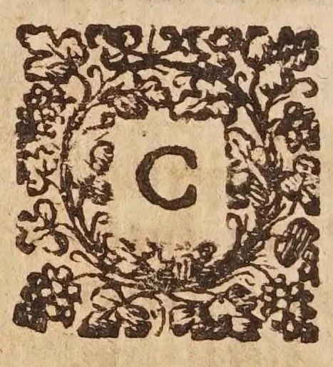 An illustration from Tractatvs, in quo examinantur, & soluuntur iuxta varietatem sententiarum probabilium omnia, quae spectant ad cometas : in quo agitur praesertim de eo, qui caepit obseruari hìc circa medium mensis decembris anni 1664, 1670, leaf 16