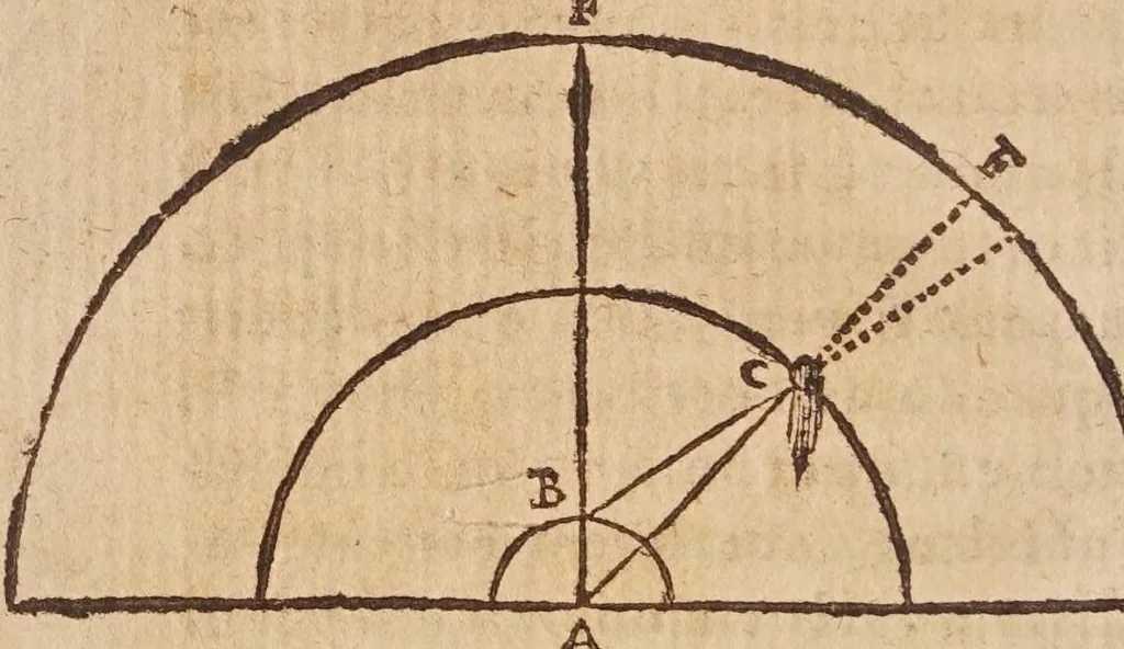 An illustration from Tractatvs, in quo examinantur, & soluuntur iuxta varietatem sententiarum probabilium omnia, quae spectant ad cometas : in quo agitur praesertim de eo, qui caepit obseruari hìc circa medium mensis decembris anni 1664, 1670, leaf 242