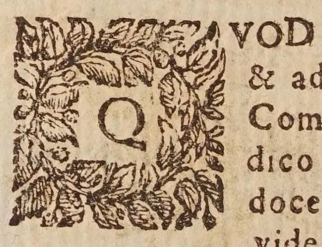 An illustration from Tractatvs, in quo examinantur, & soluuntur iuxta varietatem sententiarum probabilium omnia, quae spectant ad cometas : in quo agitur praesertim de eo, qui caepit obseruari hìc circa medium mensis decembris anni 1664, 1670, leaf 256