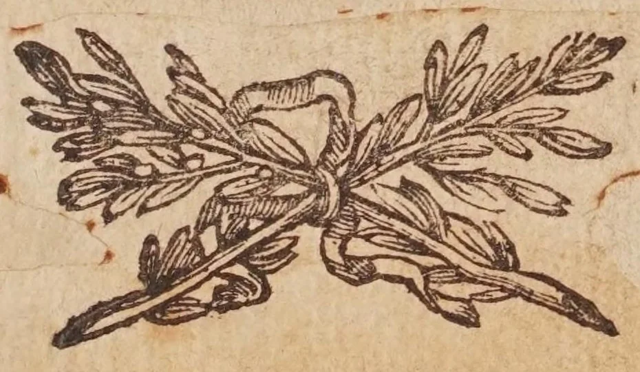 An illustration from Tractatvs, in quo examinantur, & soluuntur iuxta varietatem sententiarum probabilium omnia, quae spectant ad cometas : in quo agitur praesertim de eo, qui caepit obseruari hìc circa medium mensis decembris anni 1664, 1670, leaf 3