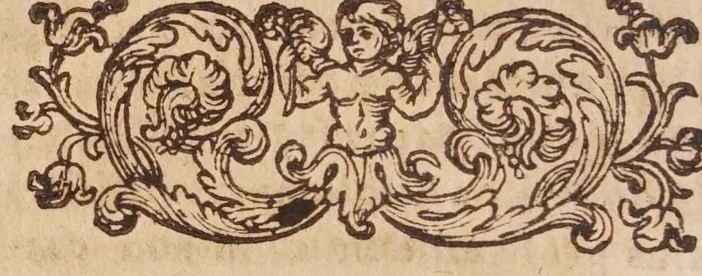 An illustration from Tractatvs, in quo examinantur, & soluuntur iuxta varietatem sententiarum probabilium omnia, quae spectant ad cometas : in quo agitur praesertim de eo, qui caepit obseruari hìc circa medium mensis decembris anni 1664, 1670, leaf 308