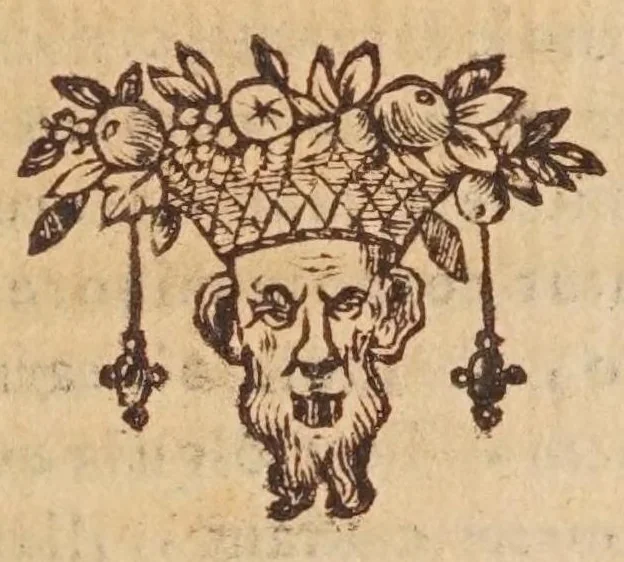 An illustration from Tractatvs, in quo examinantur, & soluuntur iuxta varietatem sententiarum probabilium omnia, quae spectant ad cometas : in quo agitur praesertim de eo, qui caepit obseruari hìc circa medium mensis decembris anni 1664, 1670, leaf 71