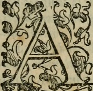 An illustration from Tractatvs lvcvlentvs de iuramento litis decisorio, 1595, leaf 10