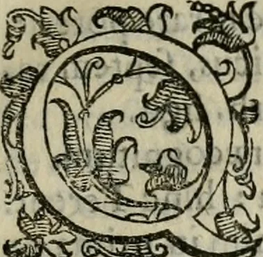 An illustration from Tractatvs lvcvlentvs de iuramento litis decisorio, 1595, leaf 114