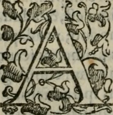 An illustration from Tractatvs lvcvlentvs de iuramento litis decisorio, 1595, leaf 115