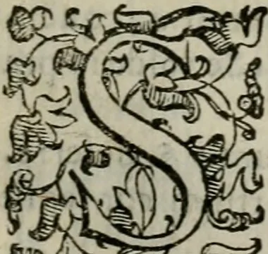 An illustration from Tractatvs lvcvlentvs de iuramento litis decisorio, 1595, leaf 116