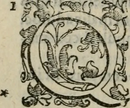An illustration from Tractatvs lvcvlentvs de iuramento litis decisorio, 1595, leaf 117
