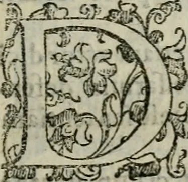 An illustration from Tractatvs lvcvlentvs de iuramento litis decisorio, 1595, leaf 118