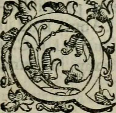 An illustration from Tractatvs lvcvlentvs de iuramento litis decisorio, 1595, leaf 120